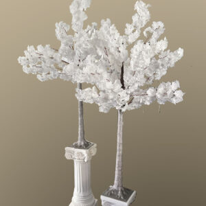 white cherry blossom trees